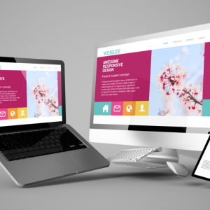 Web Designing Services