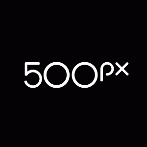 logo-animation